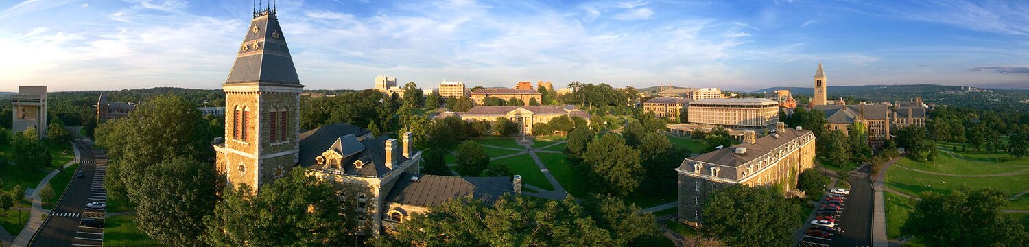 Cornell