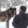 Austin and the wolf, Ydun